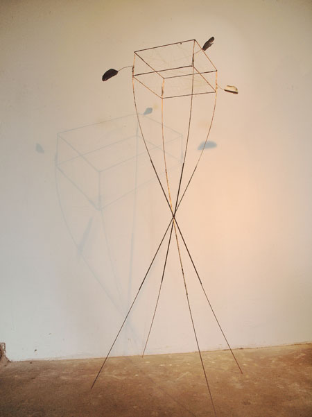 M26_Nachtgewaechs,1#130018