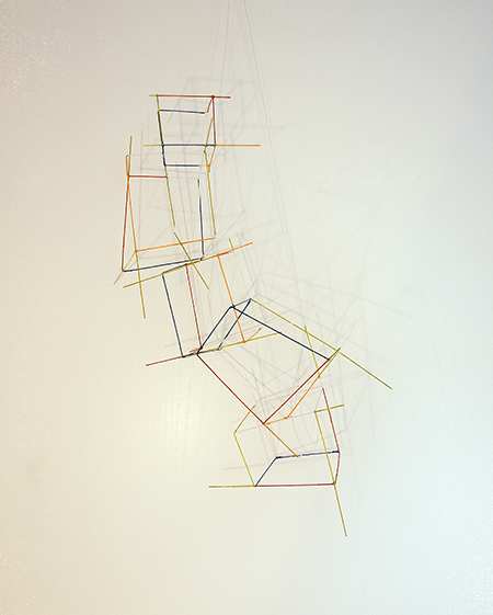 M64 Hagedis Camäleon